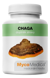 Chaga