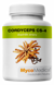 cordyceps