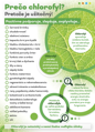 CHLOROPHYLL DROPS  -  silný antioxidant s výraznými hojivými a protizápalovými účinkami, Starlife  50 ml