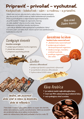 GANODERMA LIGHT COFFEE, 3 in 1 - Káva Arabica s obsahom huby Ganoderma a so zníženým obsahom cukru, Starlife 750 g
