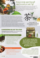 GANODERMA LIGHT COFFEE, 3 in 1 - Káva Arabica s obsahom huby Ganoderma a so zníženým obsahom cukru, Starlife 750 g