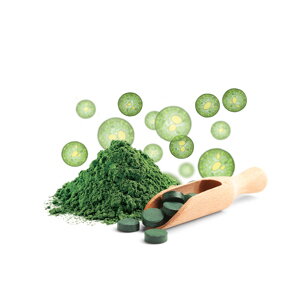 BIO Chlorella - ekologické hospodárstvo